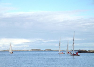 Small Boats, Marstrand Harbor