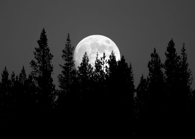 Moonrise, Glen Aulin High Sierra Camp